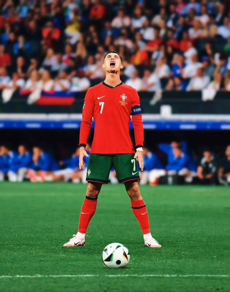 成功地攻克 成功地攻克