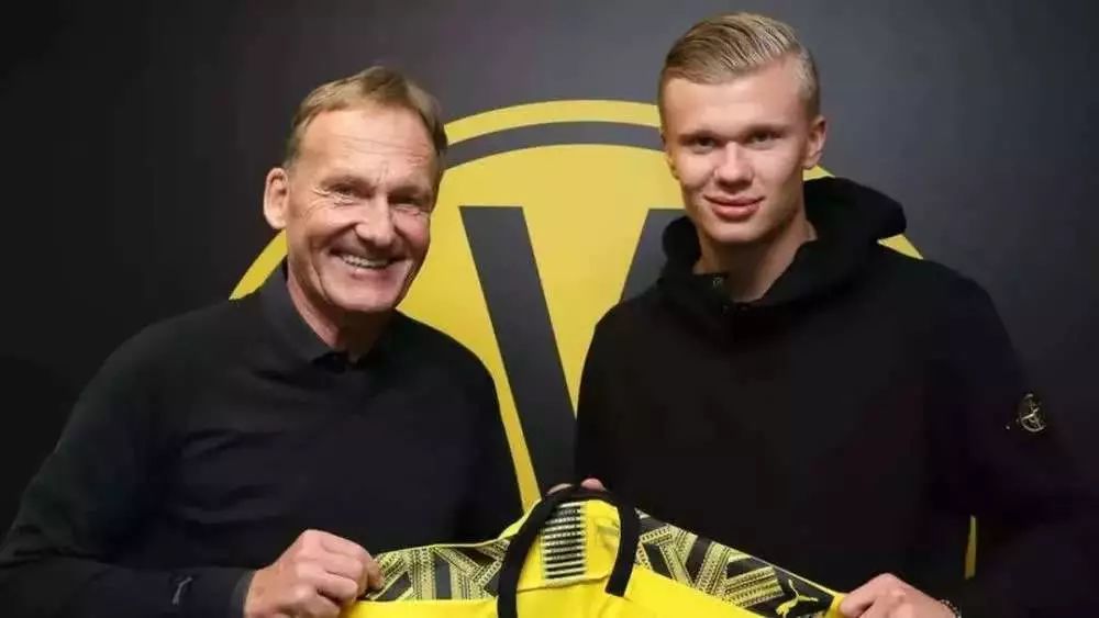 中期定型 中期定型