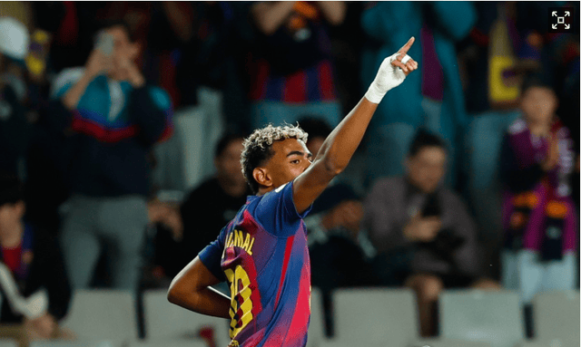 ye的职能 ye的职能