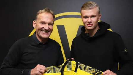 化粉丝运营 化粉丝运营